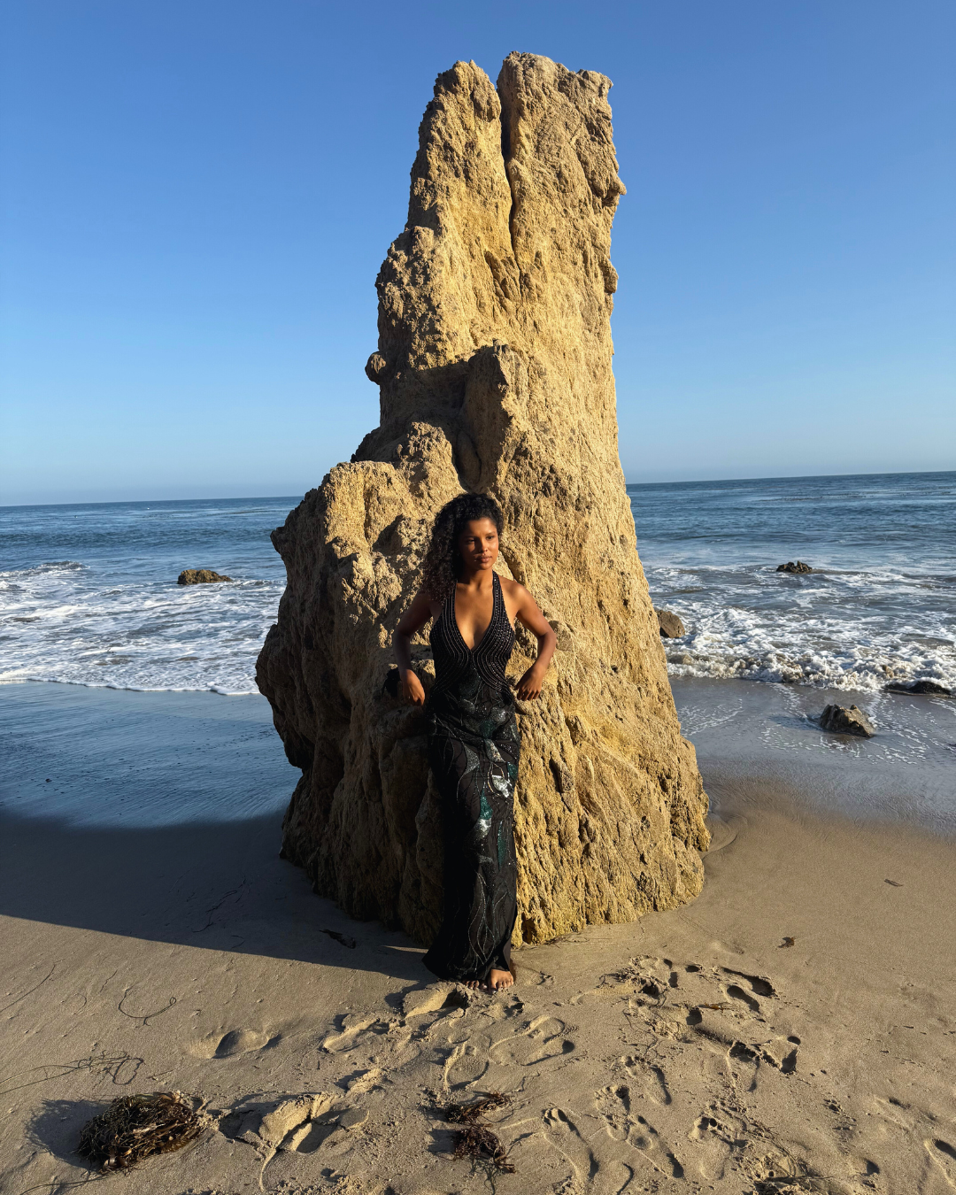 Black Embroidered Halterneck Dress