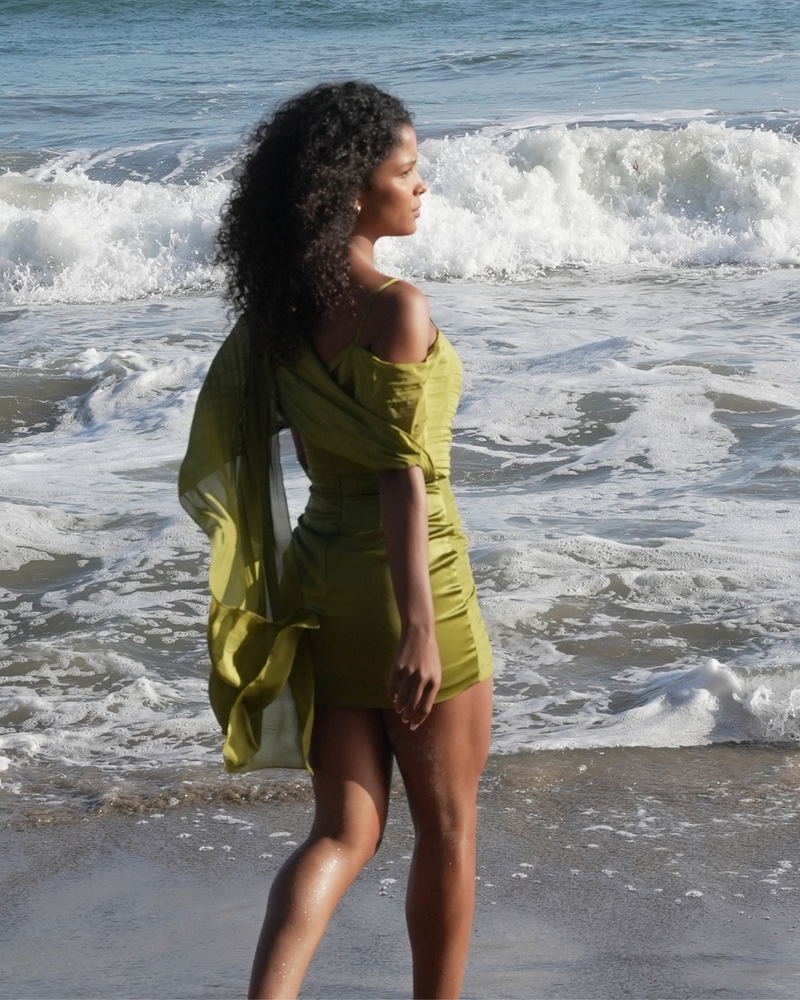 Naomi Mini Dress
