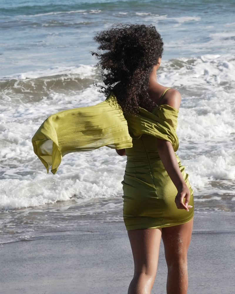 Naomi Mini Dress