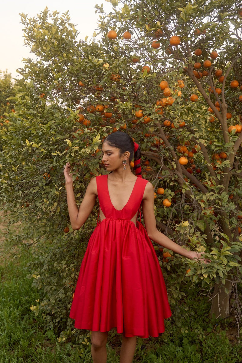 Red Taffeta Dress