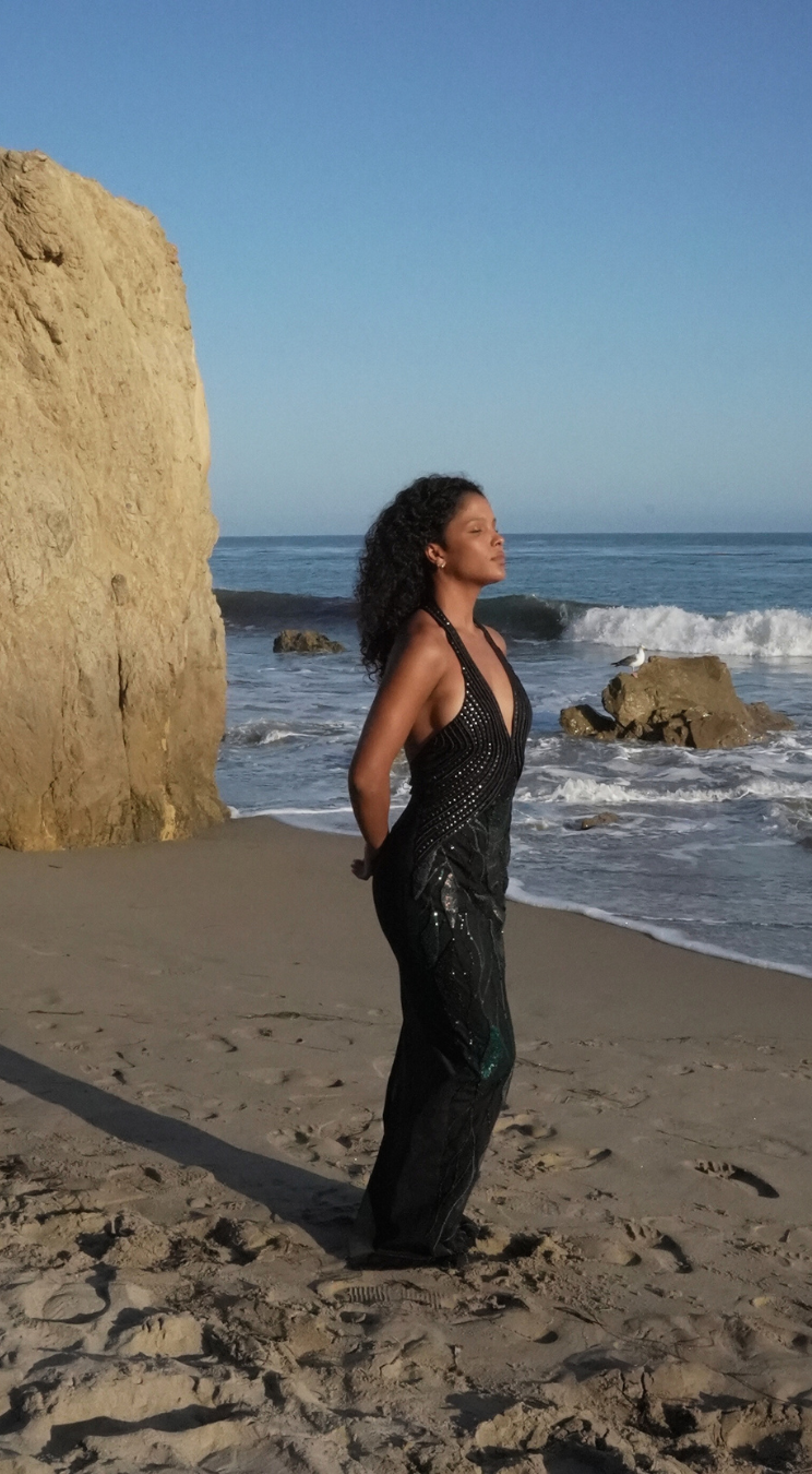 Black Embroidered Halterneck Dress