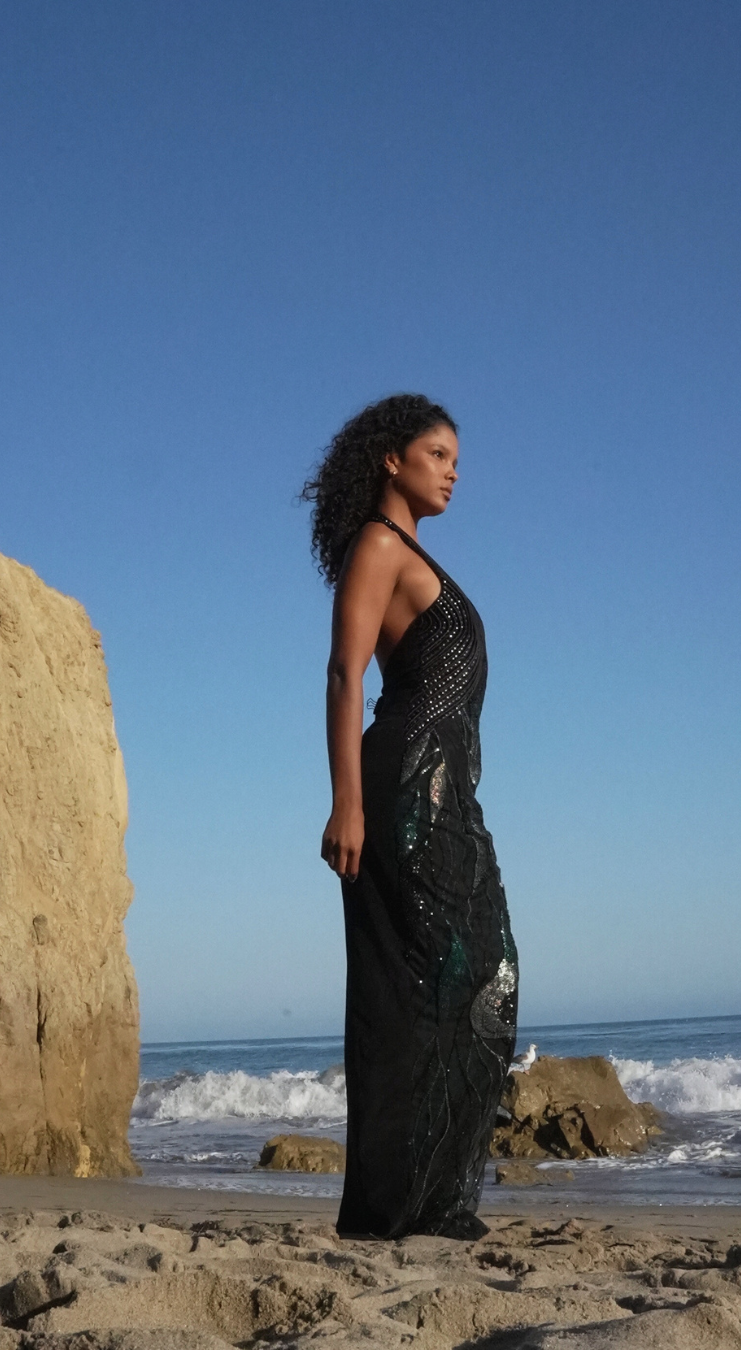 Black Embroidered Halterneck Dress