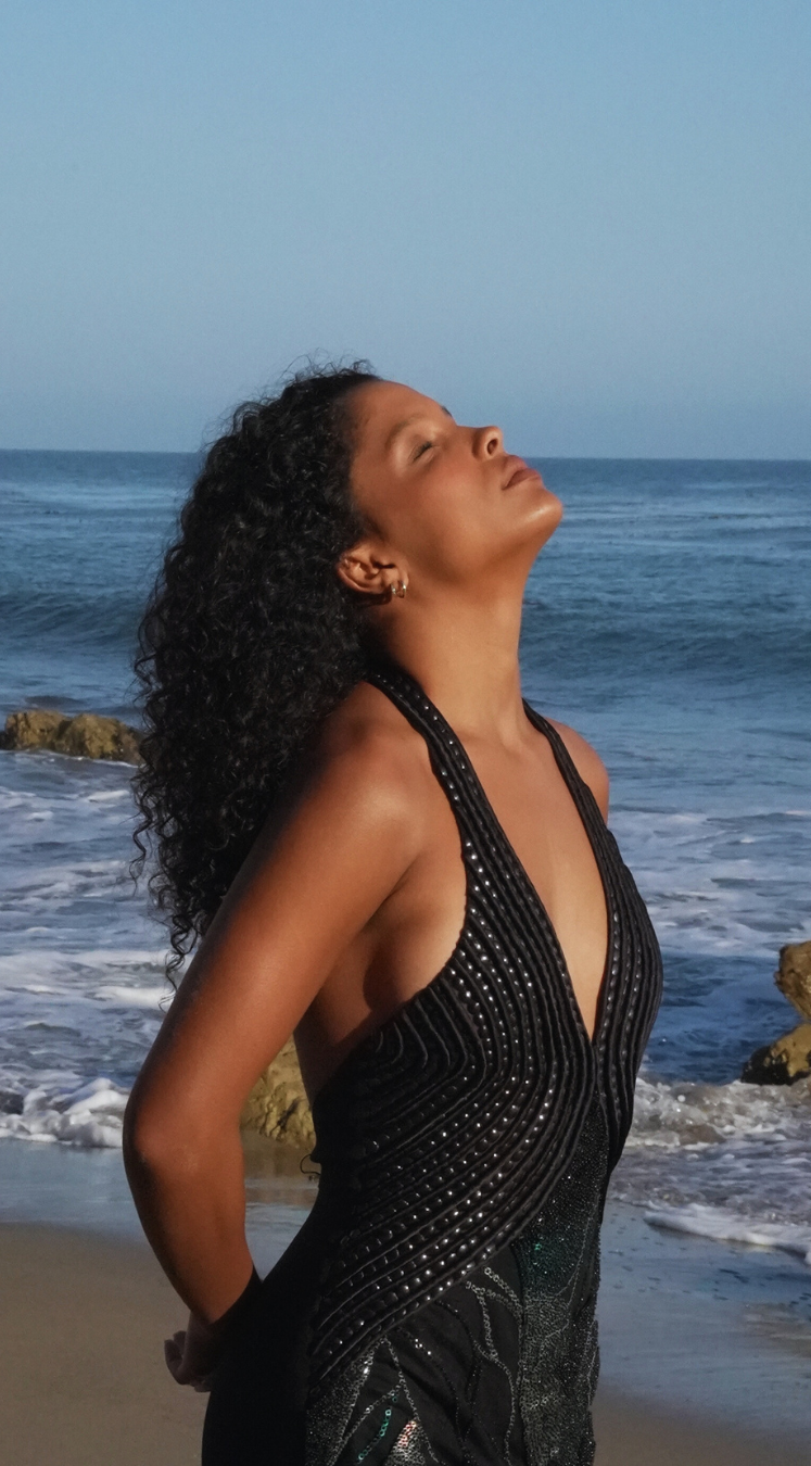 Black Embroidered Halterneck Dress