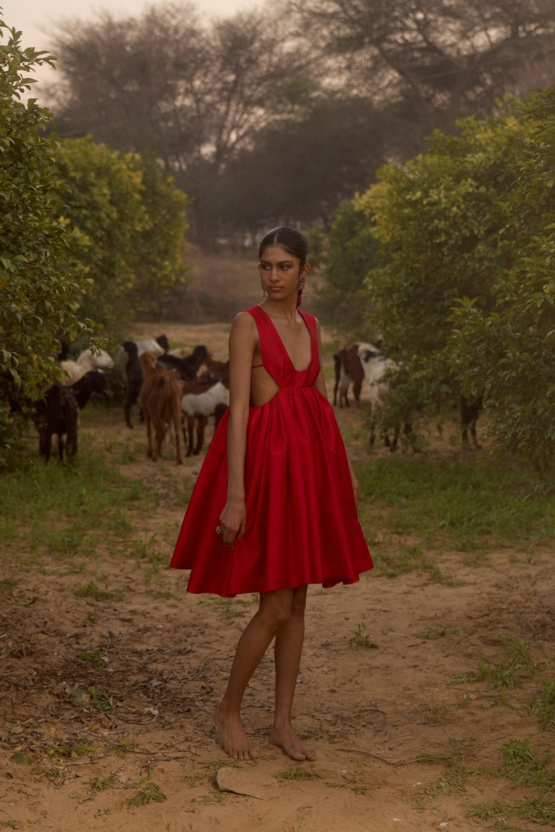 Red Taffeta Dress